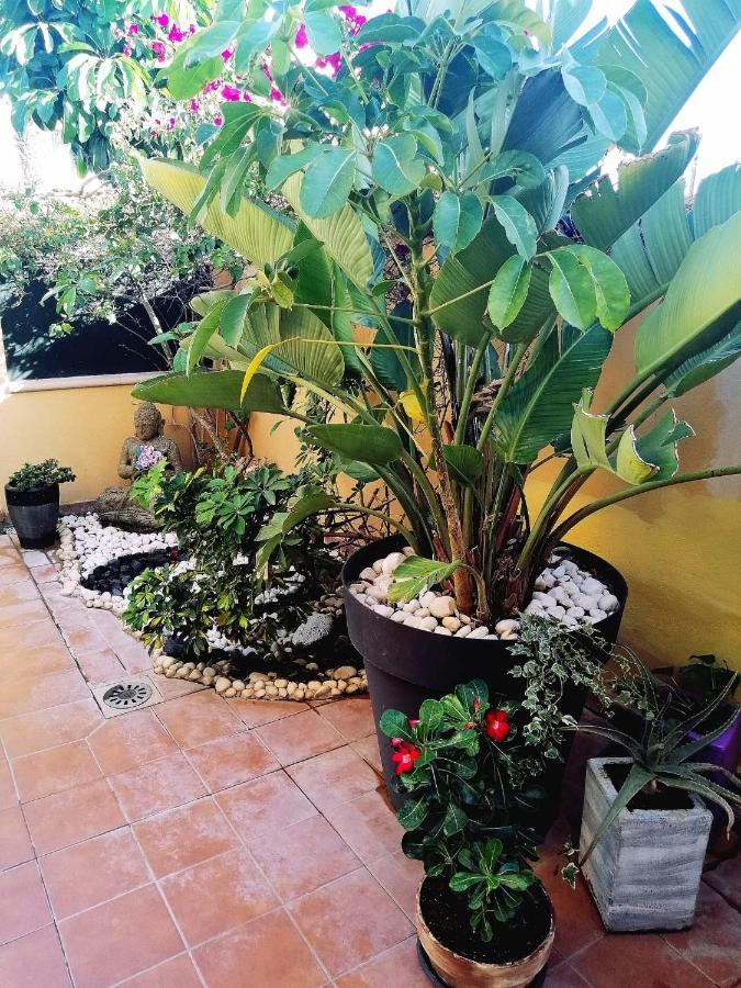 Vivienda Vacacional Vaiana Las Rosas  Luaran gambar